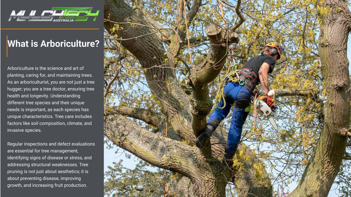 Arboriculture and Tree Care Professional thumbnail