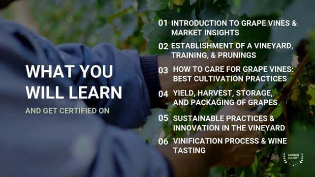 Viticulture and Wine Production