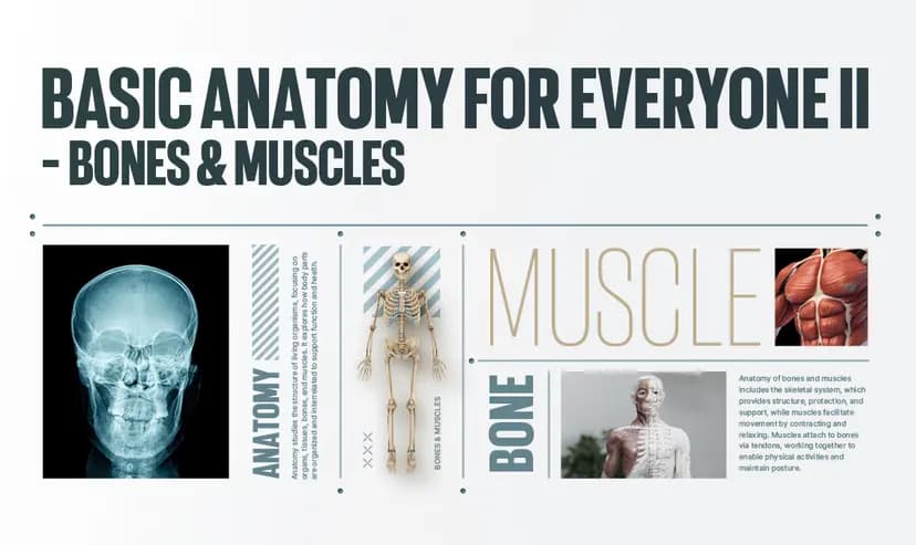 Anatomy and Physiology for Bodyworkers