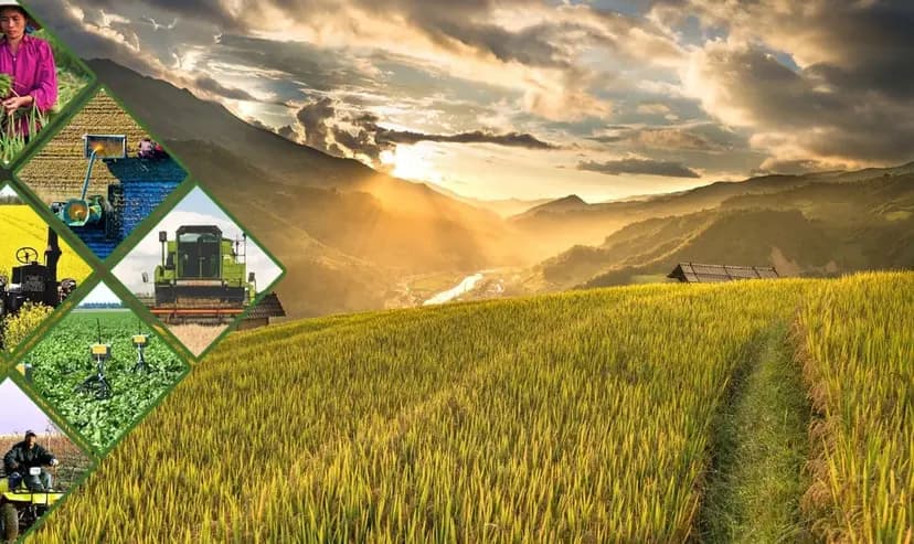 Precision Agriculture and Smart Farming