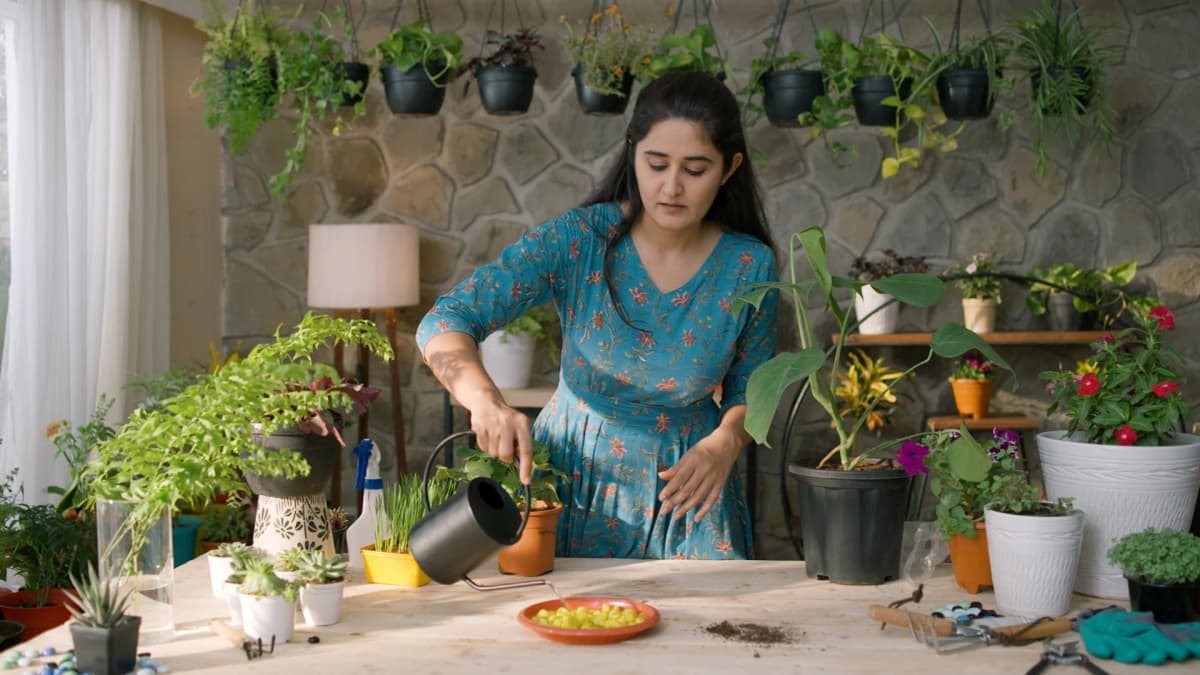 Indoor Gardening: Grow Houseplants, Veggies, and Herbs