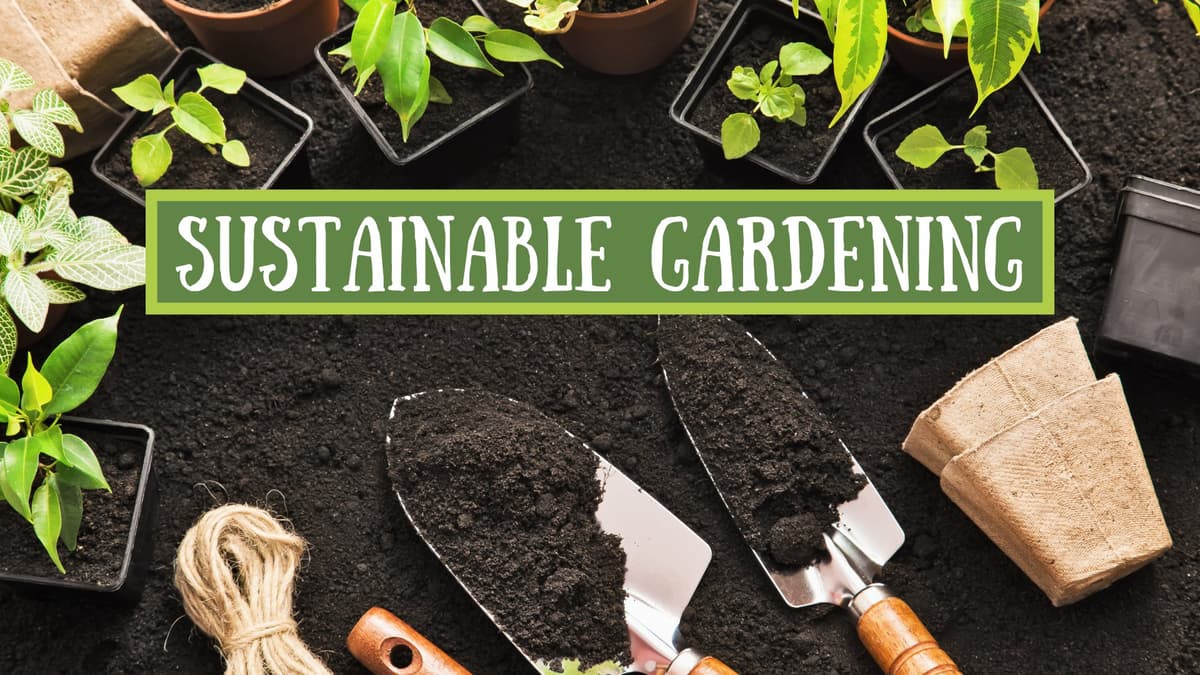 Sustainable Living Basics: Simple Steps to Make an Impact