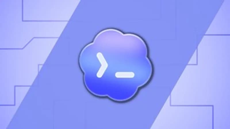 Codex - The Practical Guide