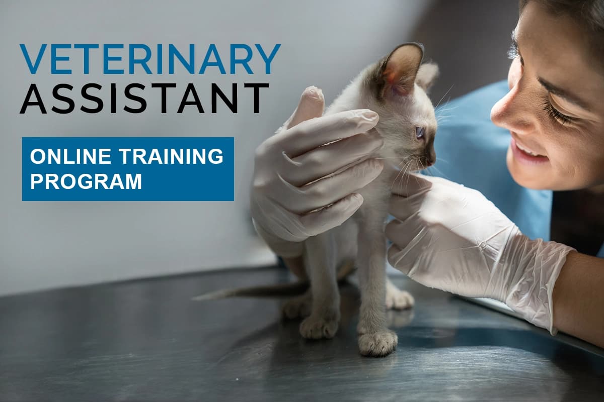 Veterinary Assistant Complete Training thumbnail